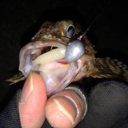 寒波 北西の風の中