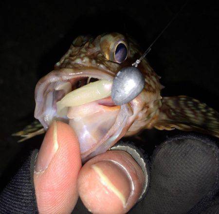 寒波 北西の風の中