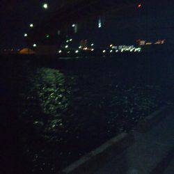 初釣行！メバリング