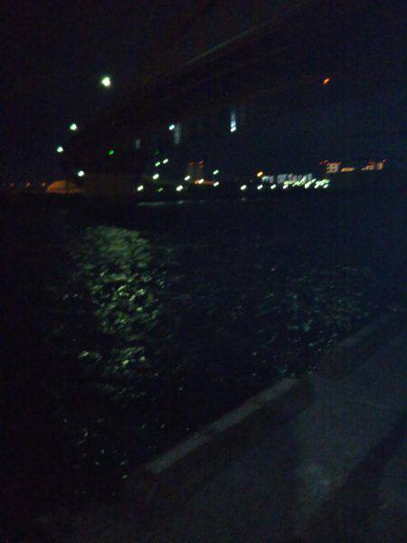 初釣行！メバリング