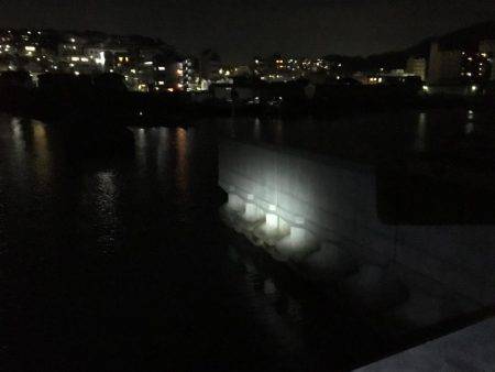 メバリングするもガシラのみ