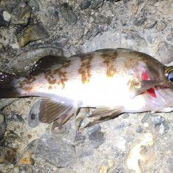 数は釣れるもサイズは…