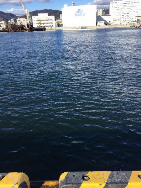 回遊待ちでポツポツ