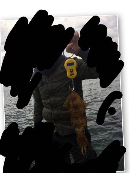 年初めのアオリ調査