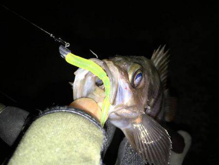 数は出たものの型がのびず