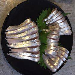 まだまだタチウオ