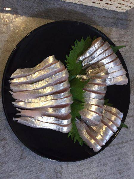 まだまだタチウオ