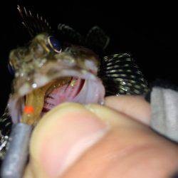 今さらながら初釣りに