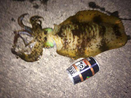 謹賀新年あけましておめでとうございます