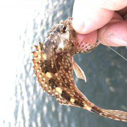 初釣りはイマイチ