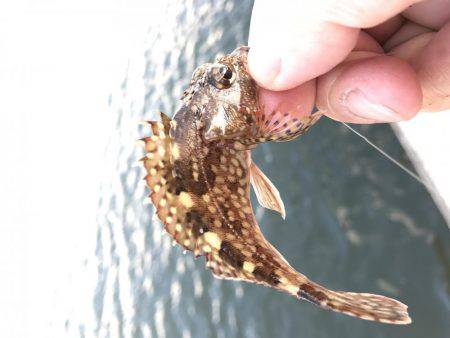初釣りはイマイチ