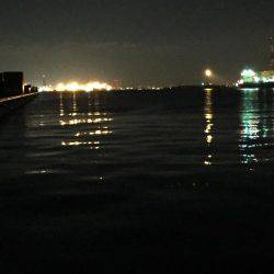 貧果なメバリング