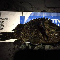 遠征！メバル調査(^.^)