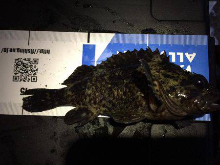 遠征！メバル調査(^.^)