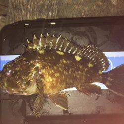 ナイスサイズ(^.^)