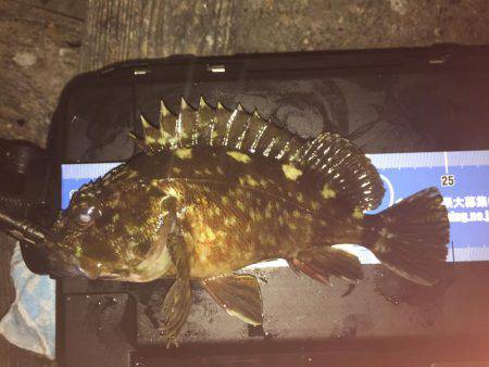 ナイスサイズ(^.^)