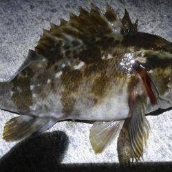 湾奥ロックゲーム！