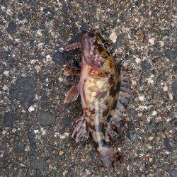 ミップル様周辺にて(笑)。