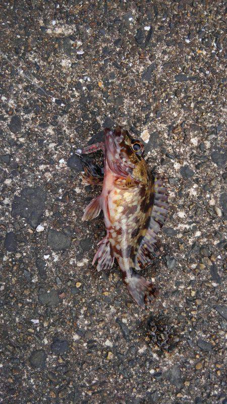 ミップル様周辺にて(笑)。