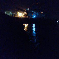 チヌ狙うもガシラのみ