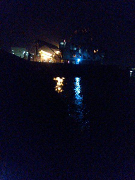 チヌ狙うもガシラのみ