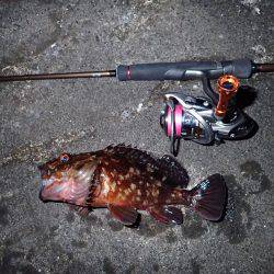 ボトムで爆釣！