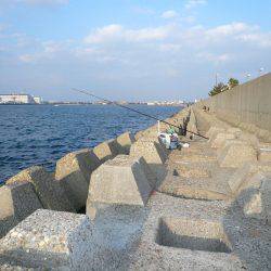 まだ釣れる東二見人工島のキス