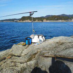 こんなん出ました・・・グレ