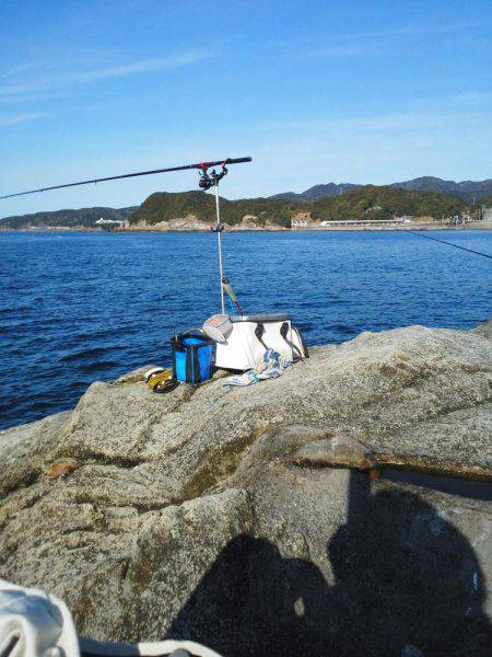 こんなん出ました・・・グレ