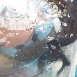 こんなん出ました・・・グレ・・サンコ・・・