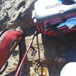 こんなん出ました・・・グレ