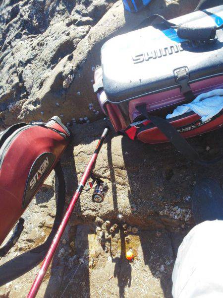 こんなん出ました・・・グレ