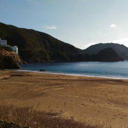 ヤエンでアオリイカ