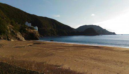 ヤエンでアオリイカ