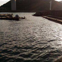 メバリングのはずが