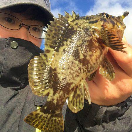 雪降りアナダート！