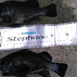 アミパターン攻略