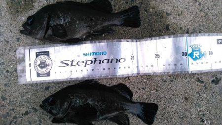 アミパターン攻略