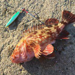 ライトショアスロー