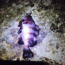 フロートリグで