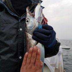 遊漁船 ニライカナイ 釣果