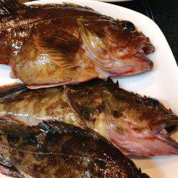 釣り部で舞洲へ