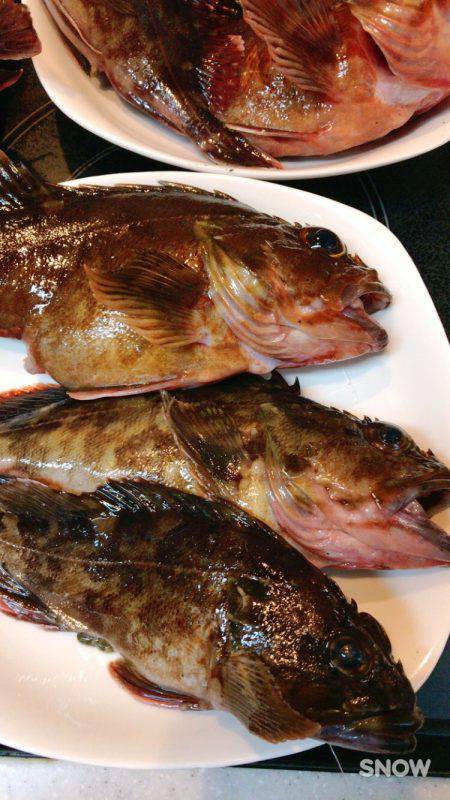 釣り部で舞洲へ