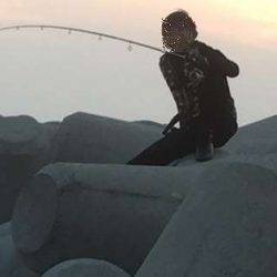 テトラデビューでキスゲット