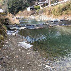 芥川マス釣り場でジャンボニジマス！