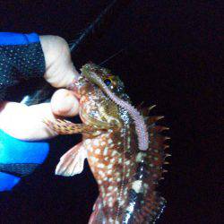 渋い…でも楽しい！