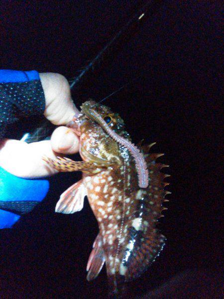 渋い…でも楽しい！