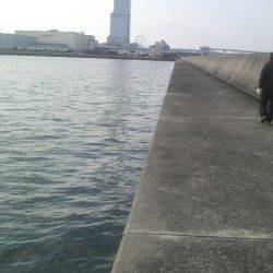 初釣りの結果は・・・無事タコ上げが出来ました!