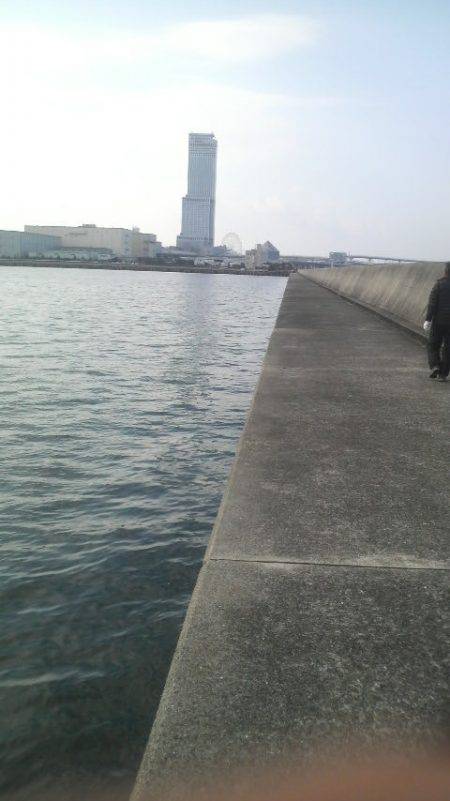 初釣りの結果は・・・無事タコ上げが出来ました!