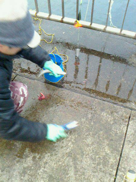 真冬にウキがスポッと沈むのをみたくて～